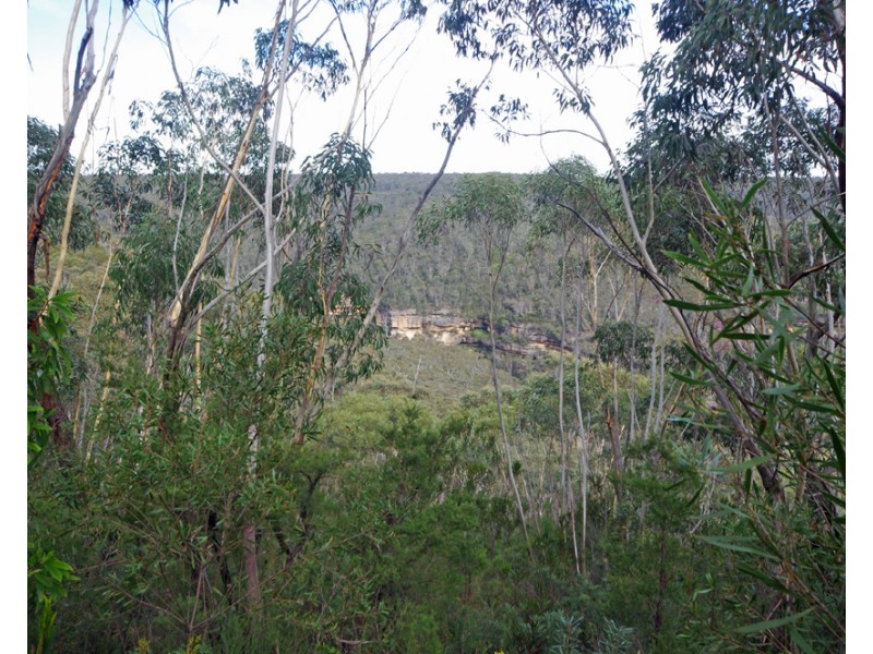 305-323 Evans Lookout Rd, Blackheath NSW 2785