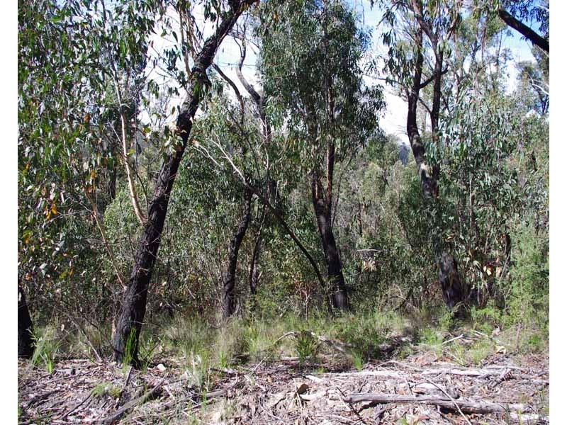 23-25 Salisbury Ave, Mount Victoria NSW 2786