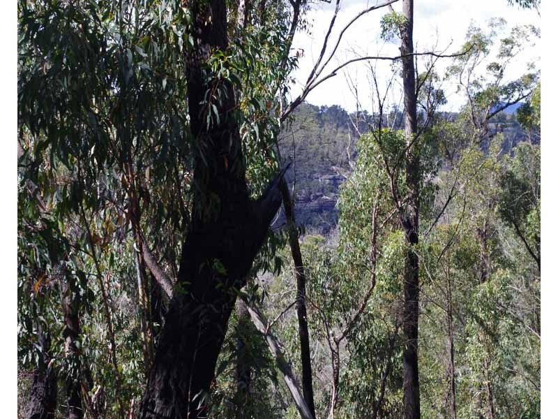 23-25 Salisbury Ave, Mount Victoria NSW 2786