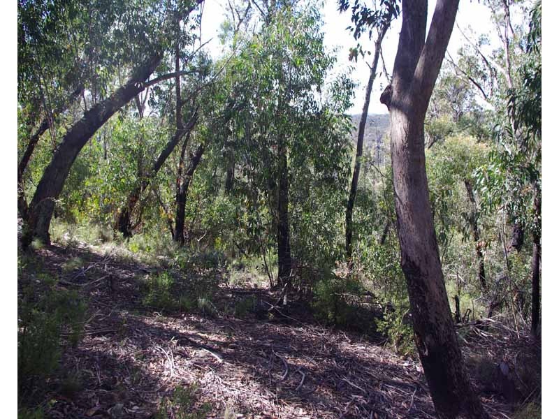 23-25 Salisbury Ave, Mount Victoria NSW 2786