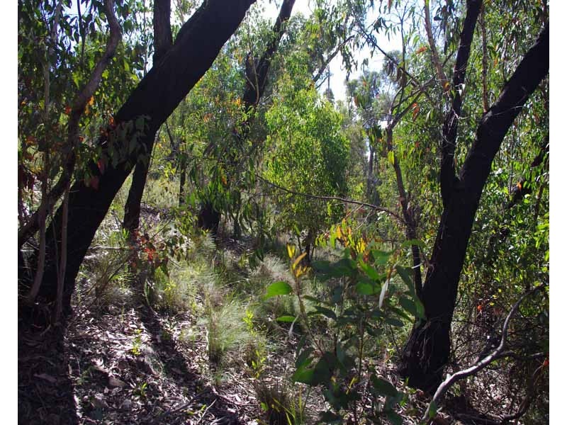 23-25 Salisbury Ave, Mount Victoria NSW 2786