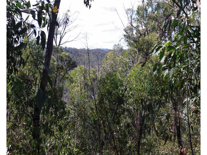 23-25 Salisbury Ave, Mount Victoria NSW 2786