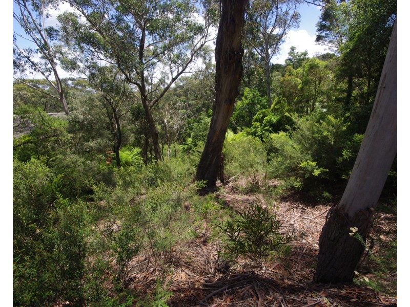 182 Victoria St, Mount Victoria NSW 2786