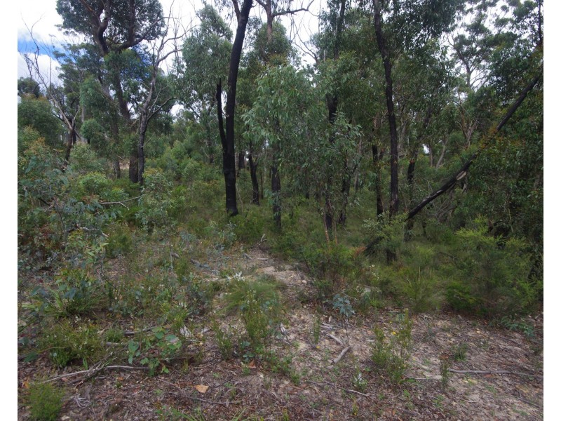 6-8 The Glen Rd, Mount Victoria NSW 2786