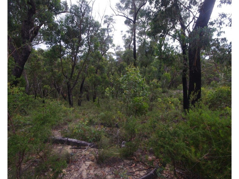 6-8 The Glen Rd, Mount Victoria NSW 2786