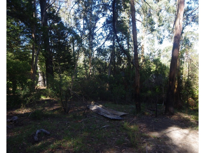 41 Great Western Highway, Mount Victoria NSW 2786