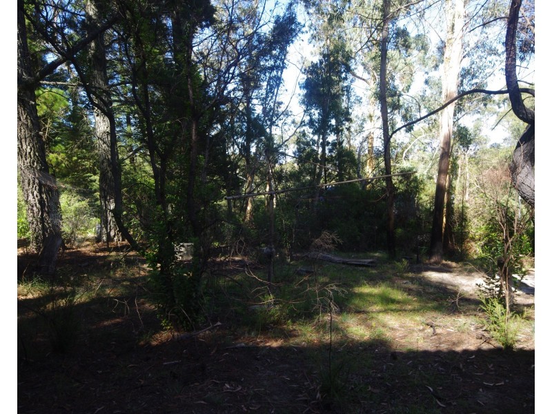 41 Great Western Highway, Mount Victoria NSW 2786