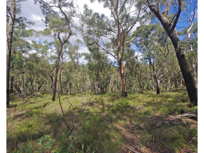 17 Chatsworth Rd, Mount Victoria NSW 2786