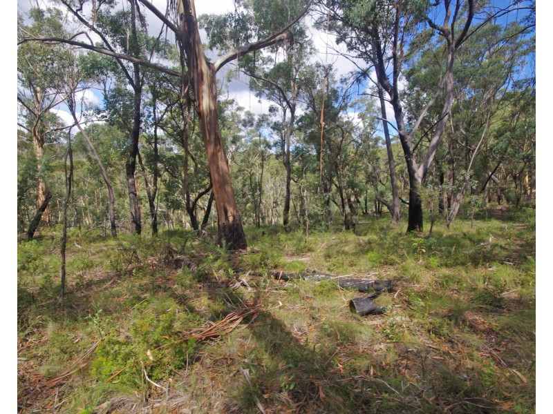 17 Chatsworth Rd, Mount Victoria NSW 2786