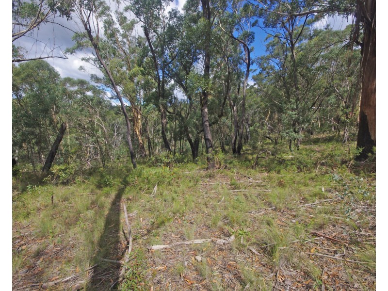 17 Chatsworth Rd, Mount Victoria NSW 2786