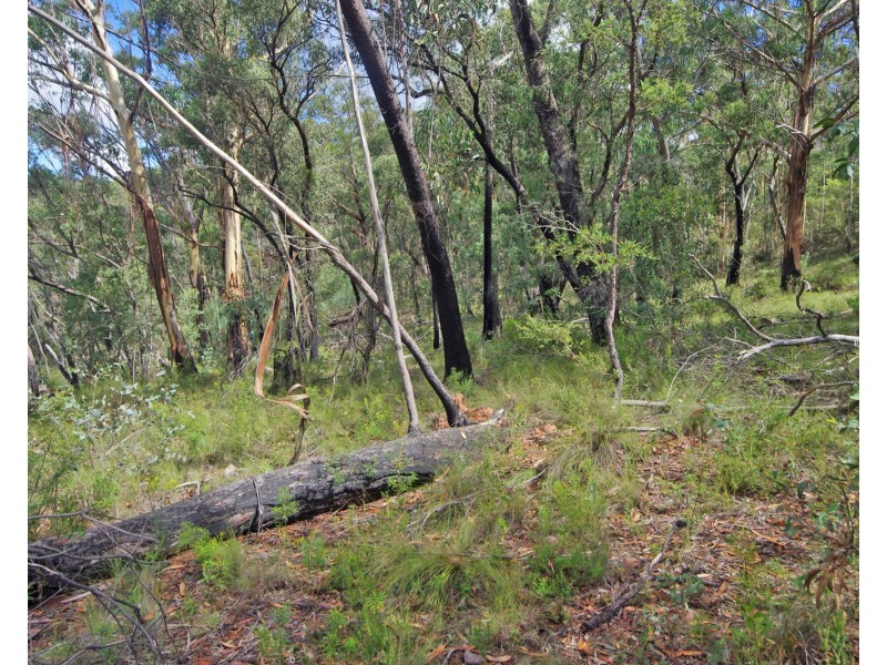 17 Chatsworth Rd, Mount Victoria NSW 2786