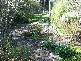 Blackheath NSW 2785