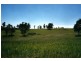 Hillville NSW 2430