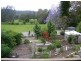 Wingham NSW 2429