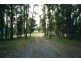 Burrell Creek NSW 2429