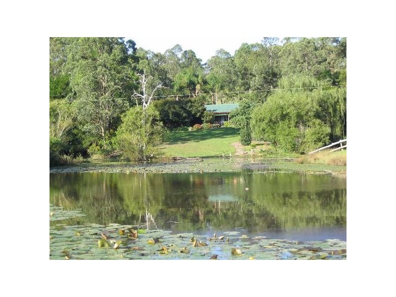 Dyers Crossing NSW 2429