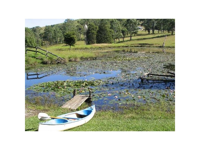 Dyers Crossing NSW 2429