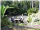 Dyers Crossing NSW 2429