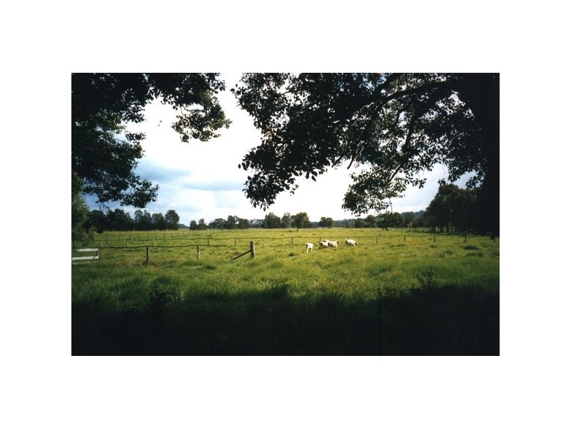 Oxley Island NSW 2430