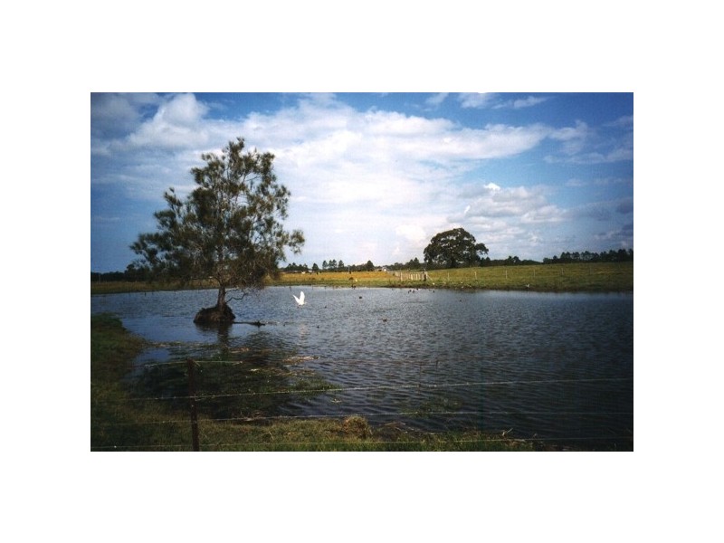 Oxley Island NSW 2430