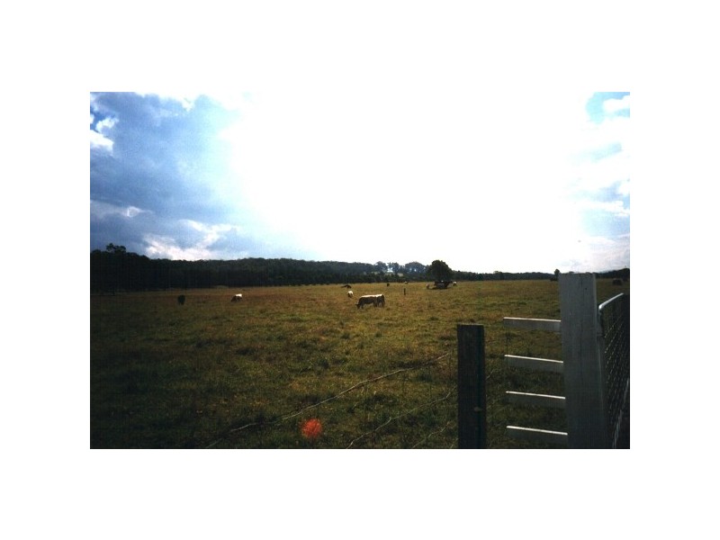 Oxley Island NSW 2430