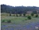 Hillville NSW 2430