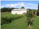 Manning Point NSW 2430