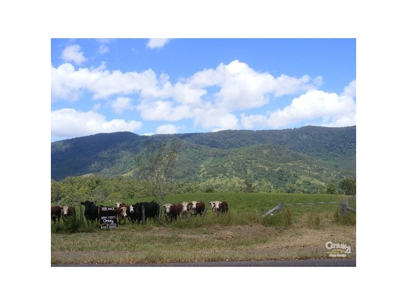 Mount George NSW 2424