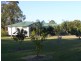 Firefly NSW 2429