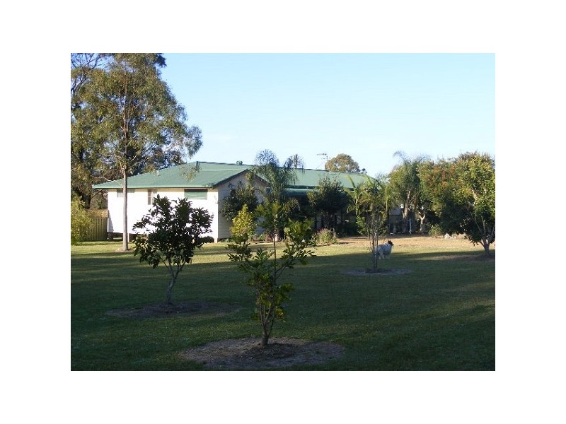Firefly NSW 2429