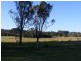 Firefly NSW 2429