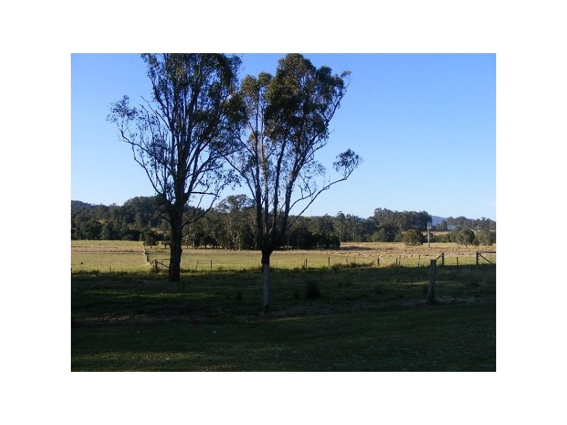 Firefly NSW 2429