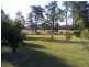 Firefly NSW 2429