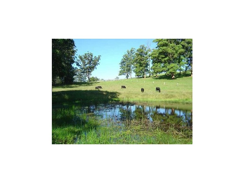 Moorland NSW 2443