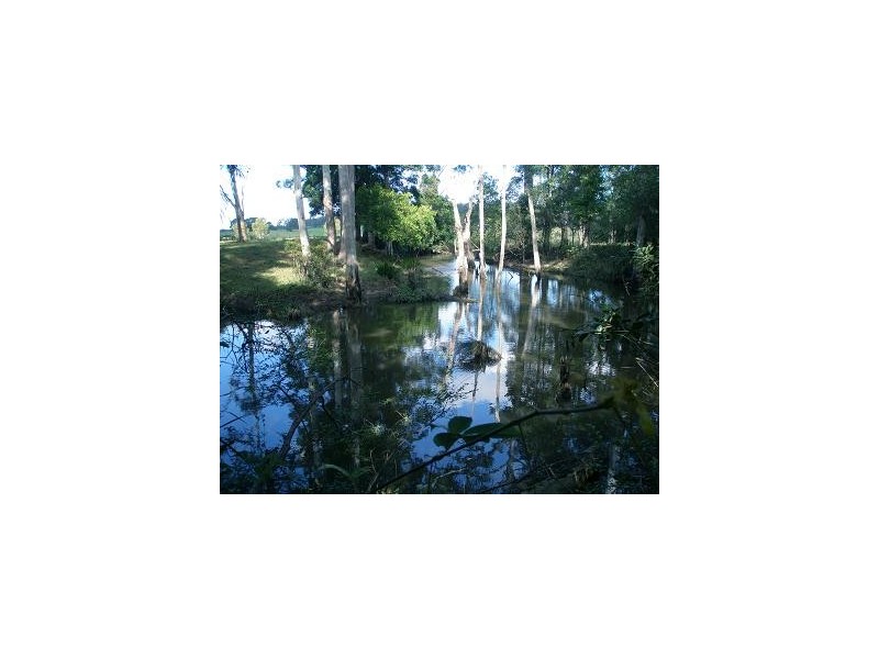 Moorland NSW 2443