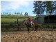 Moorland NSW 2443