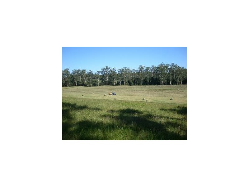 Moorland NSW 2443