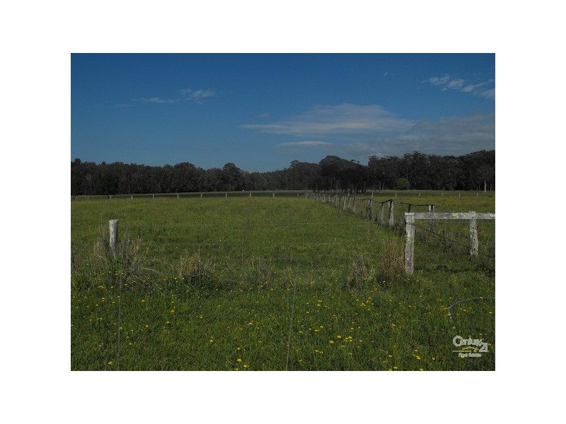 Mitchells Island NSW 2430