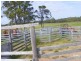 Nabiac NSW 2312