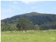 Nabiac NSW 2312