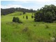 Burrell Creek NSW 2429