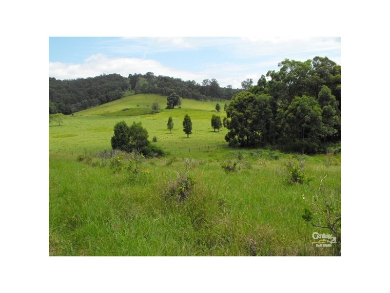Burrell Creek NSW 2429