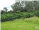 Burrell Creek NSW 2429