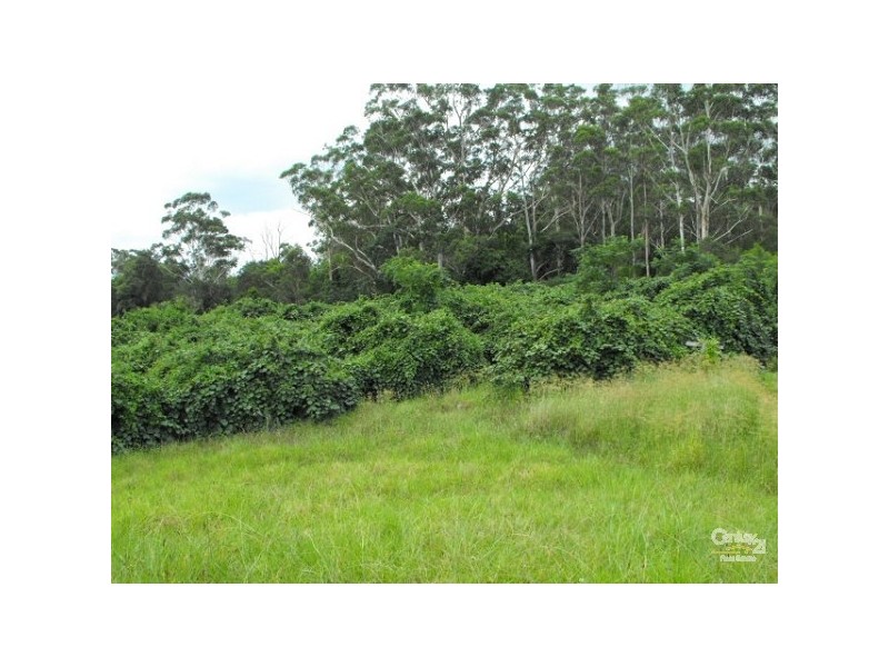 Burrell Creek NSW 2429