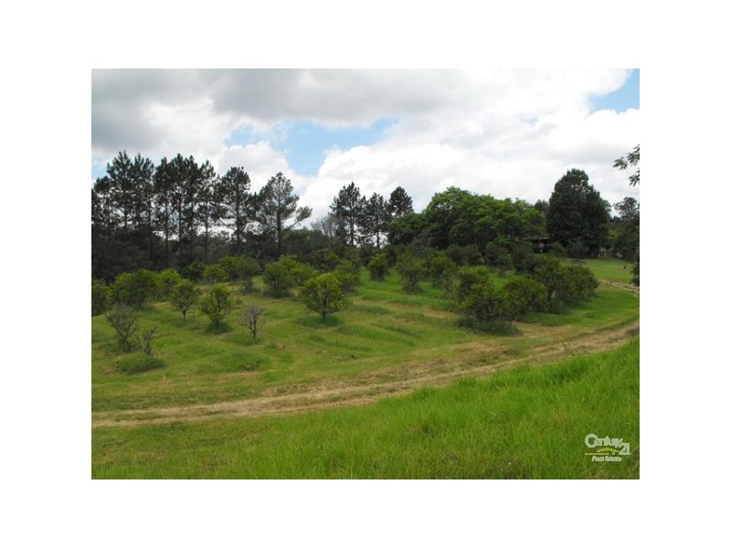 Burrell Creek NSW 2429