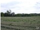 Moorland NSW 2443