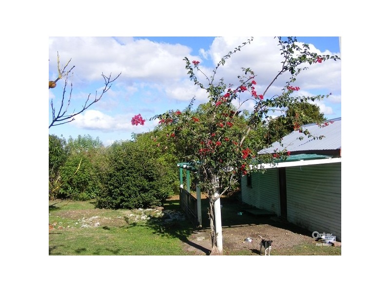 Taree NSW 2430