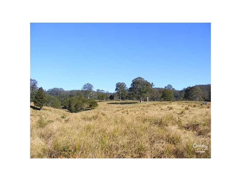 Elands NSW 2429
