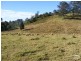 Elands NSW 2429