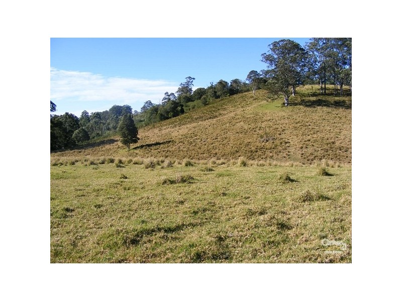 Elands NSW 2429